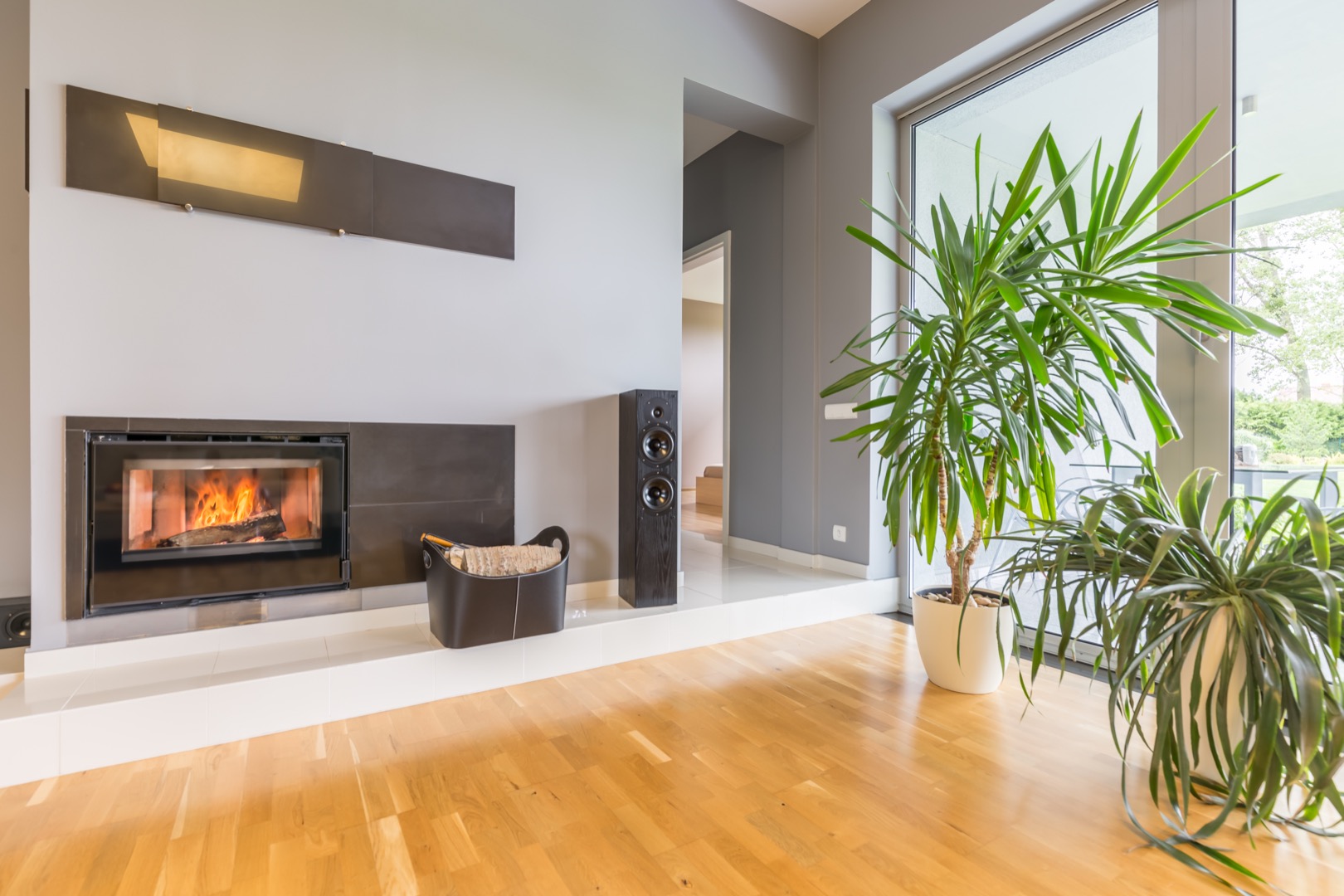 Ample Modern Loft